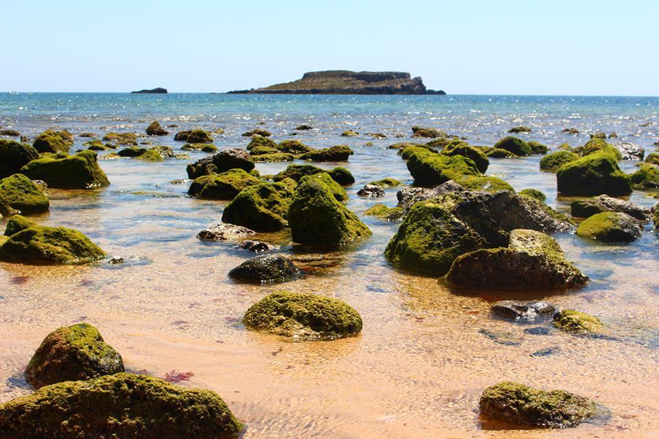 Sagres Sunny Room With Private Bathroom 300M From The Beach Екстер'єр фото